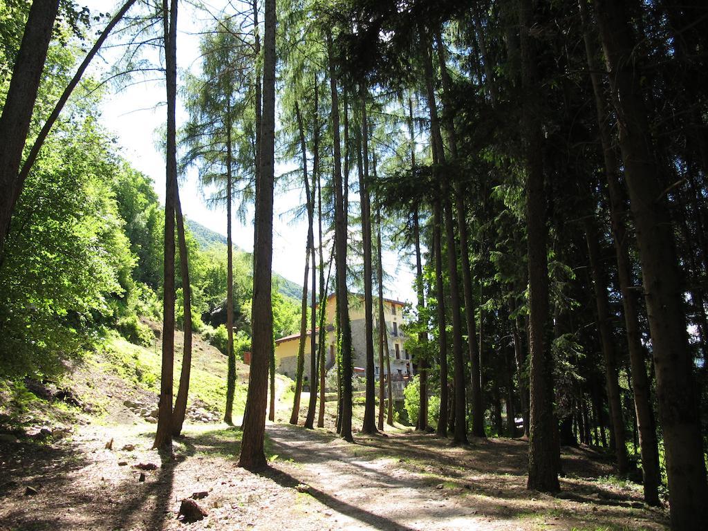 Madonna Dei Ceppi Farm stay *